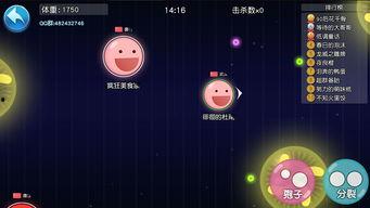 吃货的背景音乐,探寻吃货背后的音乐故事