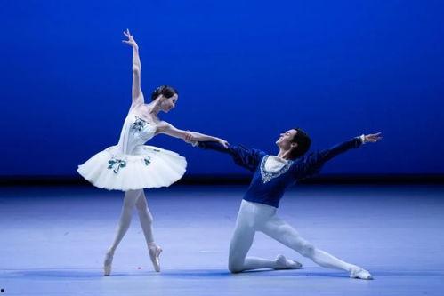 芭蕾舞明星,芭蕾舞明星的璀璨人生