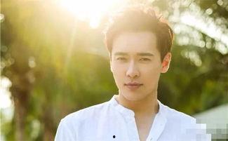 高云翔有什么背景吗,从影视新星到争议人物，揭秘其背后的故事